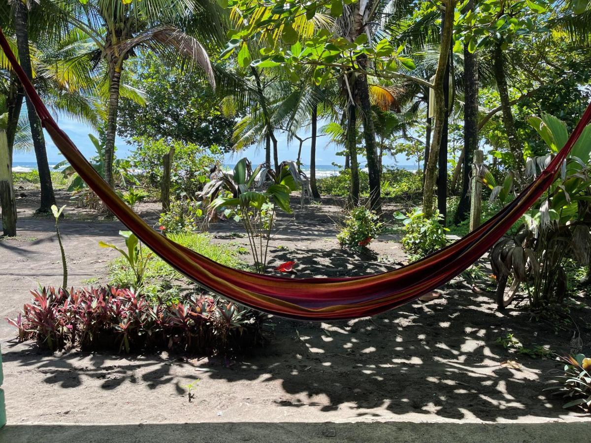 Casa Turtle Bogue Hotell Tortuguero Eksteriør bilde