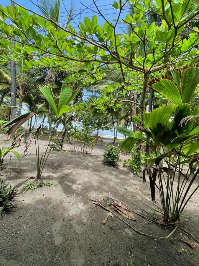 Casa Turtle Bogue Hotell Tortuguero Eksteriør bilde