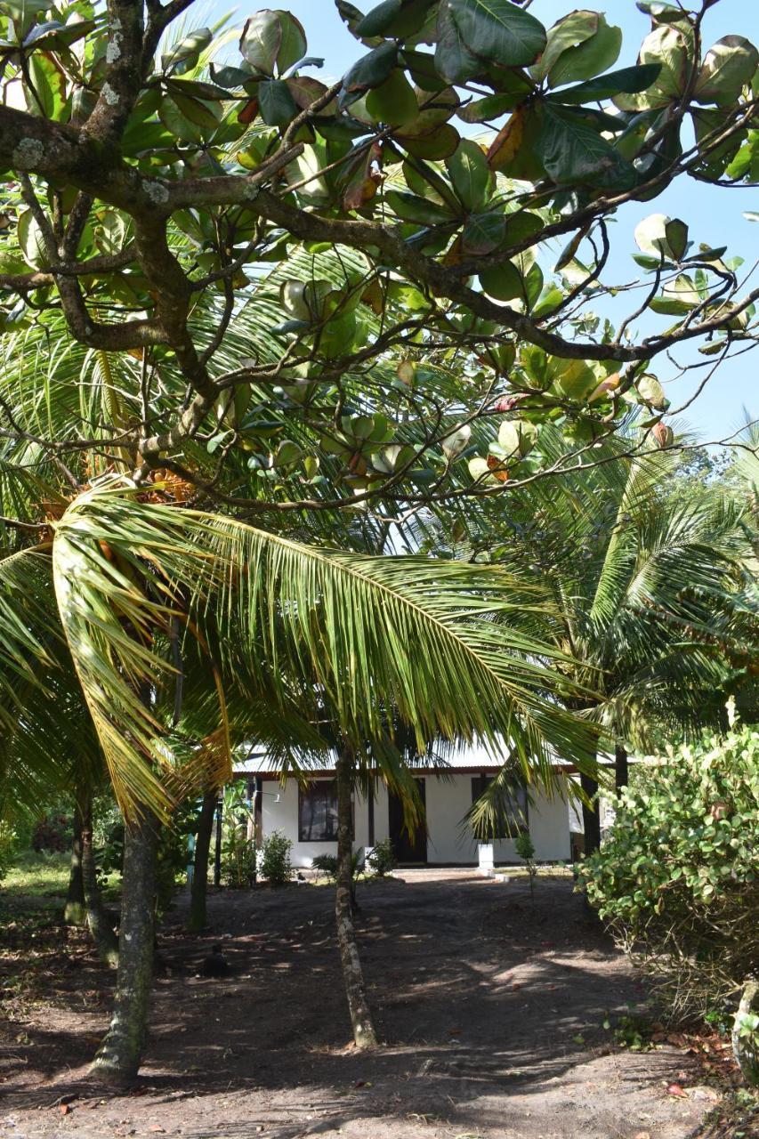 Casa Turtle Bogue Hotell Tortuguero Eksteriør bilde