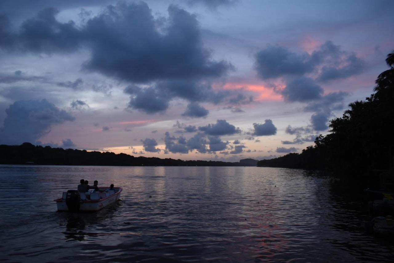 Casa Turtle Bogue Hotell Tortuguero Eksteriør bilde