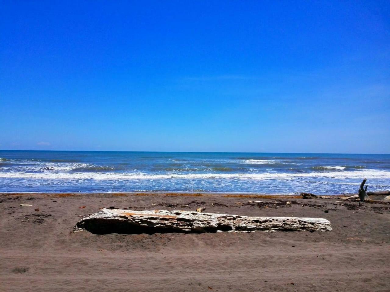 Casa Turtle Bogue Hotell Tortuguero Eksteriør bilde