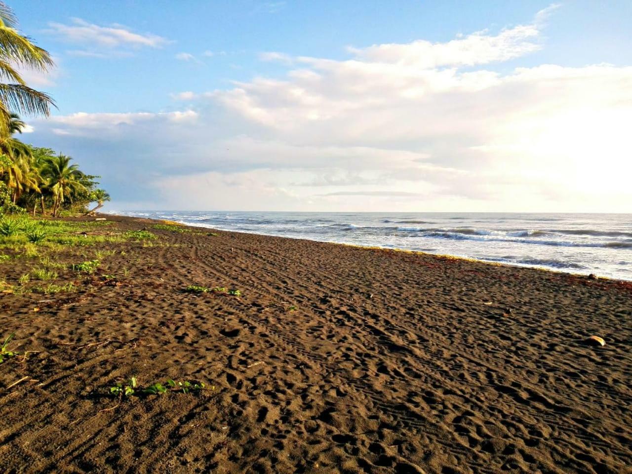 Casa Turtle Bogue Hotell Tortuguero Eksteriør bilde