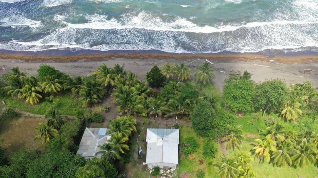 Casa Turtle Bogue Hotell Tortuguero Eksteriør bilde